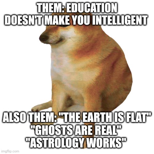 cheems | THEM: EDUCATION DOESN'T MAKE YOU INTELLIGENT; ALSO THEM: "THE EARTH IS FLAT"
"GHOSTS ARE REAL" 
"ASTROLOGY WORKS" | image tagged in cheems | made w/ Imgflip meme maker