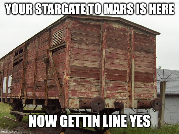 stargate auschwitz | YOUR STARGATE TO MARS IS HERE; NOW GETTIN LINE YES | image tagged in stargate | made w/ Imgflip meme maker