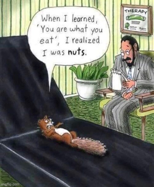 A Squirrel in Therapy... | image tagged in vince vance,squirrel,psychiatrist,cartoons,therapy,nuts | made w/ Imgflip meme maker