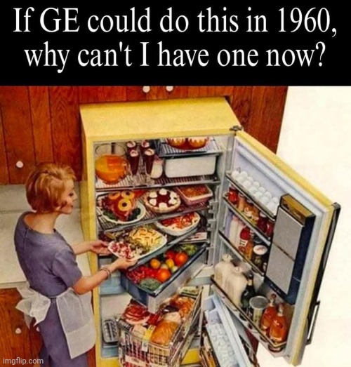 Timeless Classic Inventions of the Past | image tagged in vince vance,refrigerator,1950s,appliances,1950s housewife,memes | made w/ Imgflip meme maker