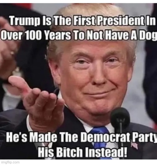 Triggered | image tagged in butthurt liberals,triggered liberal,dumbass,democrats,losers | made w/ Imgflip meme maker