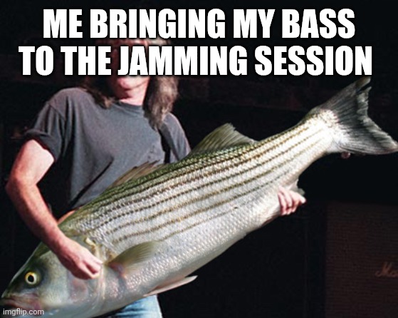 Bass guitar pun | ME BRINGING MY BASS TO THE JAMMING SESSION | image tagged in bass guitar pun | made w/ Imgflip meme maker