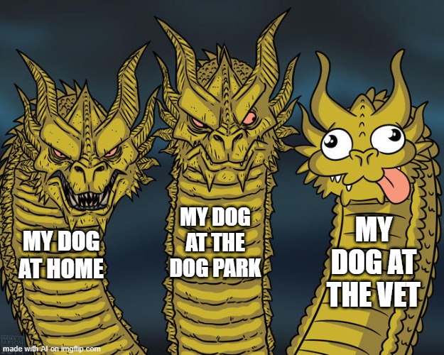 My dog | MY DOG AT THE DOG PARK; MY DOG AT THE VET; MY DOG AT HOME | image tagged in three-headed dragon | made w/ Imgflip meme maker