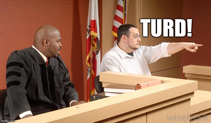 TURD! | image tagged in judge looney | made w/ Imgflip meme maker