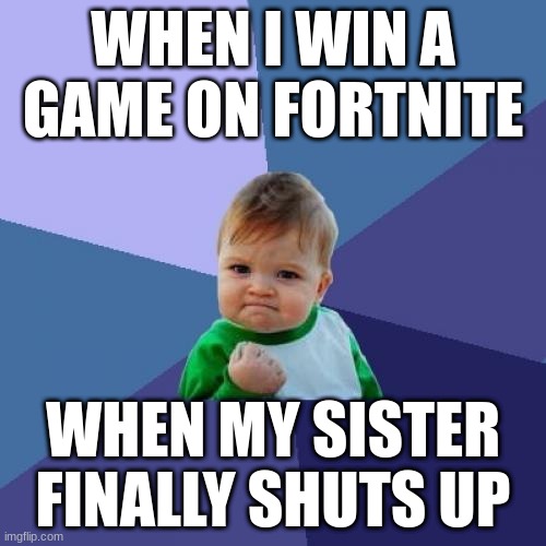 Success Kid | WHEN I WIN A GAME ON FORTNITE; WHEN MY SISTER FINALLY SHUTS UP | image tagged in memes,success kid | made w/ Imgflip meme maker