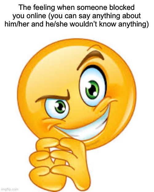 I submitted shit | The feeling when someone blocked you online (you can say anything about him/her and he/she wouldn’t know anything) | made w/ Imgflip meme maker