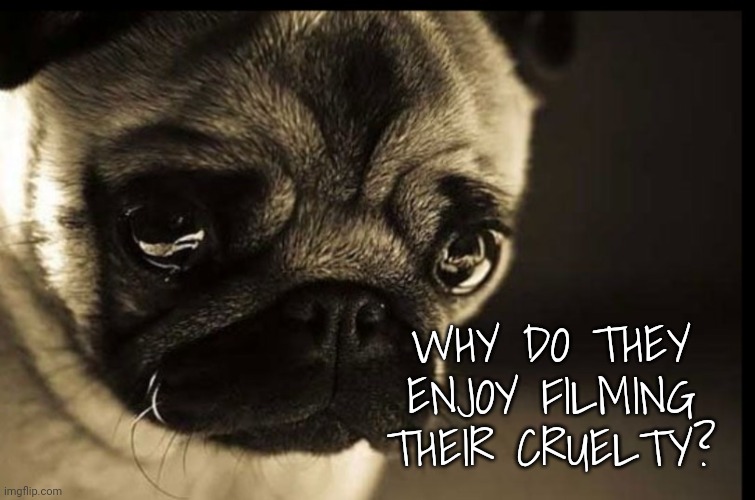 WHY DO THEY ENJOY FILMING THEIR CRUELTY? | made w/ Imgflip meme maker