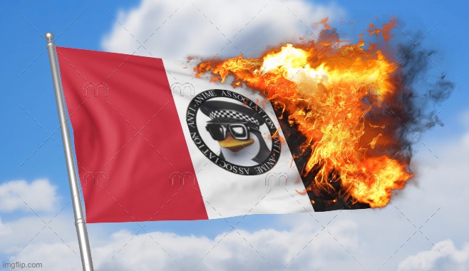 Burning the anti anime association flag (not a pro anime post, just don’t like the AAA anymore, my last post of the AAA) | image tagged in anti anime,anti anime association,burning,flag | made w/ Imgflip meme maker