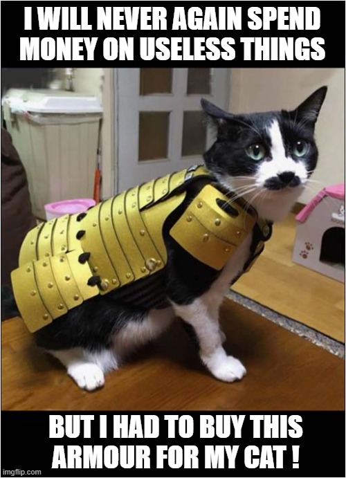 I Could Not Resist ! | I WILL NEVER AGAIN SPEND
MONEY ON USELESS THINGS; BUT I HAD TO BUY THIS
ARMOUR FOR MY CAT ! | image tagged in cats,armour,temptation | made w/ Imgflip meme maker