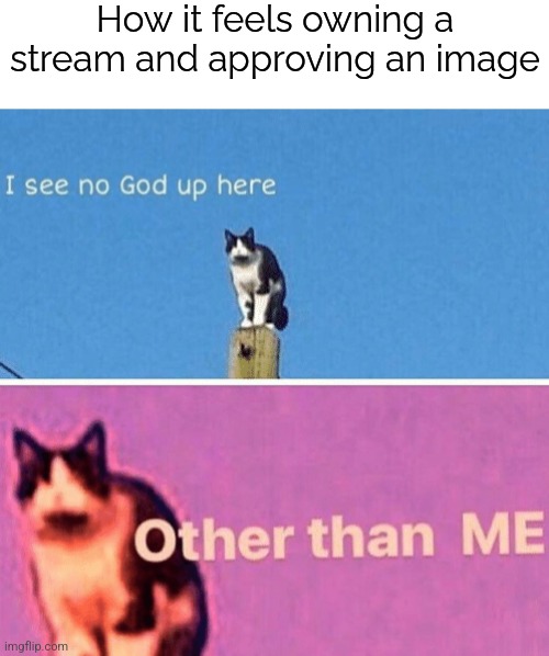 I love owning a stream. Once there are people in it it's gonna be the best feeling in the world. | How it feels owning a stream and approving an image | image tagged in hail pole cat,streams,approves | made w/ Imgflip meme maker