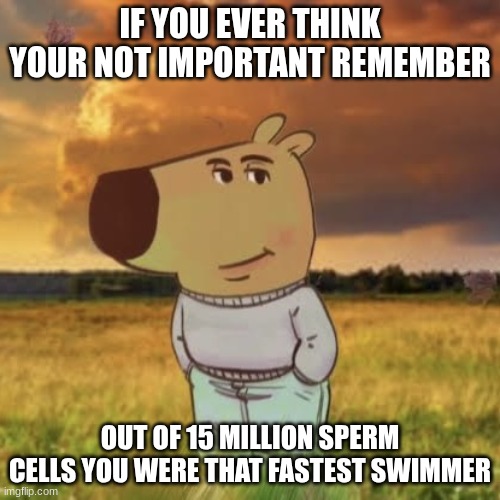 words of wisdom | IF YOU EVER THINK YOUR NOT IMPORTANT REMEMBER; OUT OF 15 MILLION SPERM CELLS YOU WERE THAT FASTEST SWIMMER | image tagged in life lessons,funny,memes | made w/ Imgflip meme maker