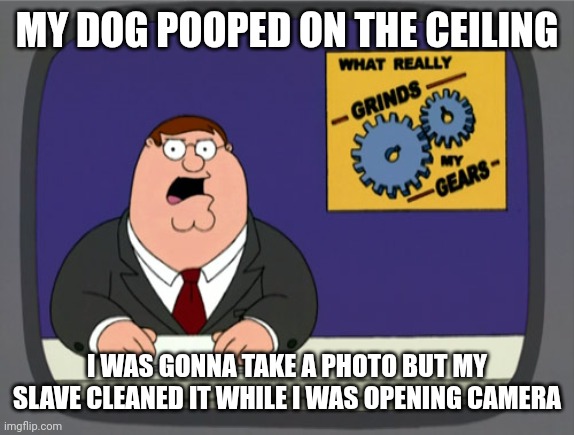 Peter Griffin News | MY DOG POOPED ON THE CEILING; I WAS GONNA TAKE A PHOTO BUT MY SLAVE CLEANED IT WHILE I WAS OPENING CAMERA | image tagged in memes,peter griffin news | made w/ Imgflip meme maker