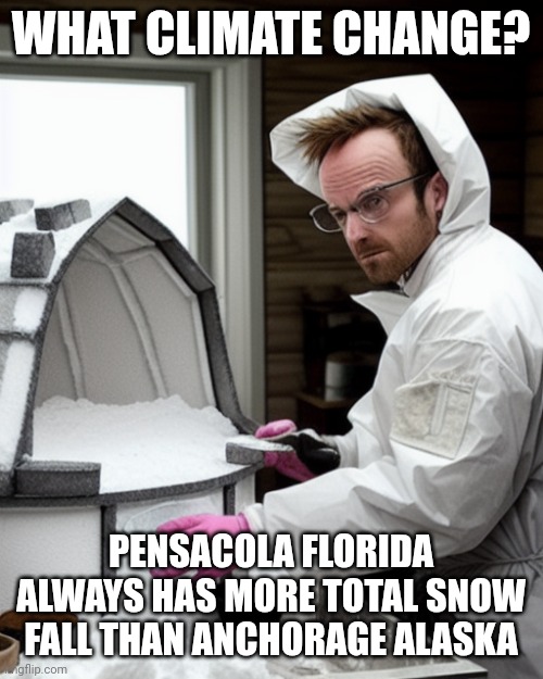 Having a heat wave....a tropical heat wave... | WHAT CLIMATE CHANGE? PENSACOLA FLORIDA ALWAYS HAS MORE TOTAL SNOW FALL THAN ANCHORAGE ALASKA | image tagged in snowcones | made w/ Imgflip meme maker