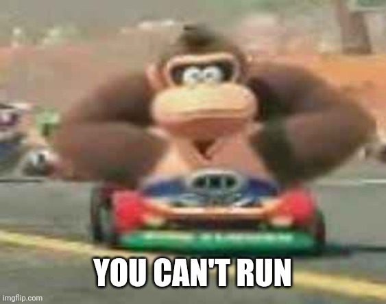 Donkey Kong on the way | YOU CAN'T RUN | image tagged in donkey kong on the way | made w/ Imgflip meme maker