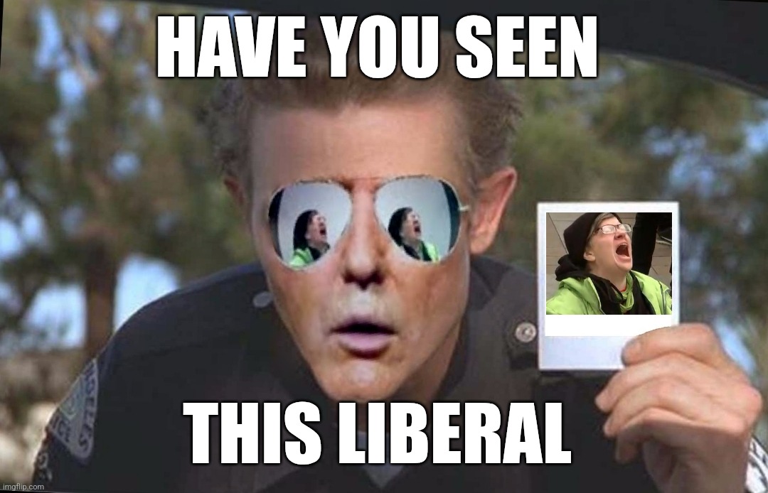 TRUMPINATOR TRUMP1000 | HAVE YOU SEEN; THIS LIBERAL | image tagged in trumpinator,t1000,crying liberal,bad photoshop,have you seen this boy,trump1000 | made w/ Imgflip meme maker