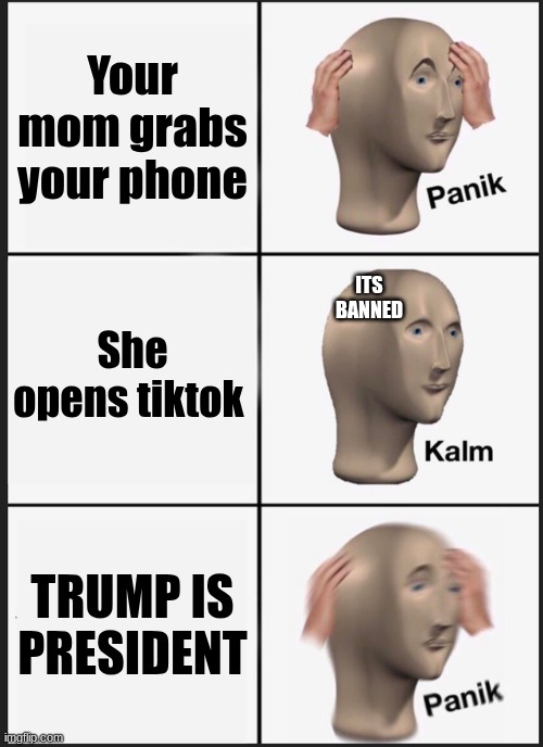 THIS IS A NIGHT MARE | Your mom grabs your phone; ITS BANNED; She opens tiktok; TRUMP IS PRESIDENT | image tagged in memes,panik kalm panik | made w/ Imgflip meme maker