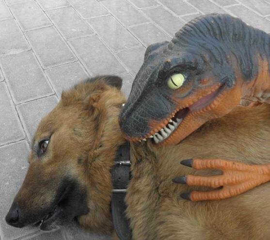 Dinosaurio amenaza perro Blank Meme Template