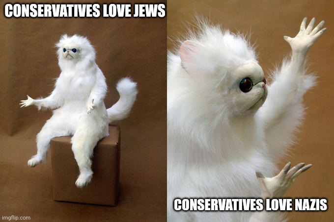 Persian Cat Room Guardian Meme | CONSERVATIVES LOVE JEWS; CONSERVATIVES LOVE NAZIS | image tagged in memes,persian cat room guardian | made w/ Imgflip meme maker