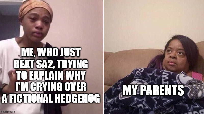 "sayonara, shadow the hedgehog" | ME, WHO JUST BEAT SA2, TRYING TO EXPLAIN WHY I'M CRYING OVER A FICTIONAL HEDGEHOG; MY PARENTS | image tagged in me explaining to my mom,sonic the hedgehog,sonic,sonic adventure 2,shadow the hedgehog | made w/ Imgflip meme maker