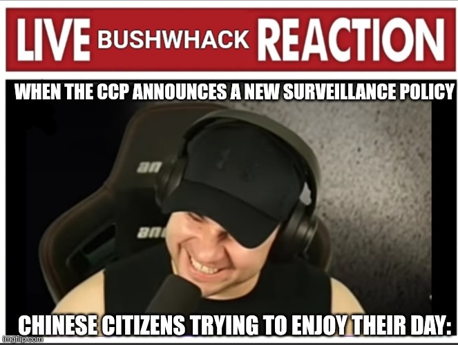 Live Bushwhack18 Reaction Meme | WHEN THE CCP ANNOUNCES A NEW SURVEILLANCE POLICY; CHINESE CITIZENS TRYING TO ENJOY THEIR DAY: | image tagged in live bushwhack reaction,bushwhack18,memes,funny,china | made w/ Imgflip meme maker