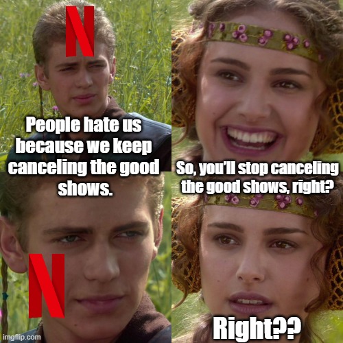 Netflix Be Like | People hate us 
because we keep 
canceling the good 
shows. So, you’ll stop canceling the good shows, right? Right?? | image tagged in anakin padme 4 panel,netflix,funny,funny meme,facts,and that's a fact | made w/ Imgflip meme maker