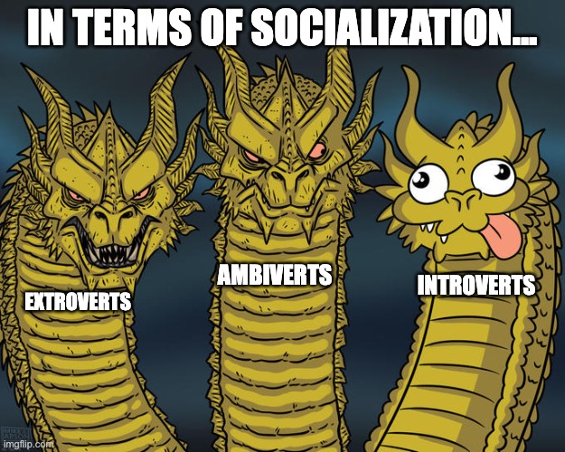 Choose your fighter | IN TERMS OF SOCIALIZATION... AMBIVERTS; INTROVERTS; EXTROVERTS | image tagged in three-headed dragon | made w/ Imgflip meme maker