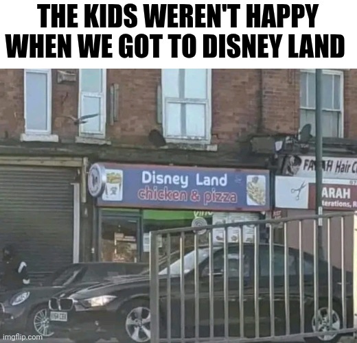 The Kids Weren't Happy When We Got To Disney Land | THE KIDS WEREN'T HAPPY WHEN WE GOT TO DISNEY LAND | image tagged in chris joines | made w/ Imgflip meme maker