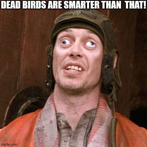 DEAD BIRDS ARE SMARTER THAN  THAT! | made w/ Imgflip meme maker