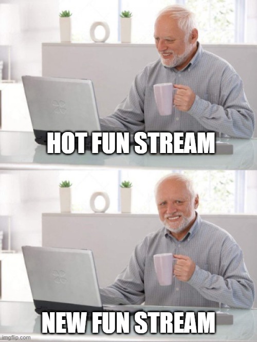 i saw porn on the new fun stream :skull: | HOT FUN STREAM; NEW FUN STREAM | image tagged in old guy pc | made w/ Imgflip meme maker