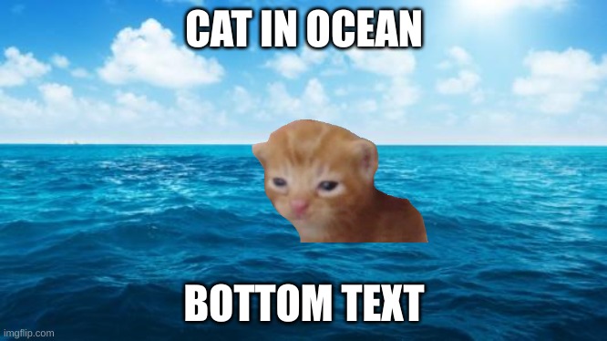 Ocean | CAT IN OCEAN BOTTOM TEXT | image tagged in ocean | made w/ Imgflip meme maker