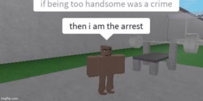 Roblox meme | image tagged in roblox meme,roblox,memes,shitpost | made w/ Imgflip meme maker