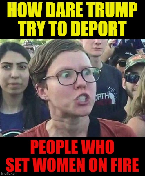 Joe's ppl | HOW DARE TRUMP TRY TO DEPORT; PEOPLE WHO SET WOMEN ON FIRE | image tagged in triggered liberal,psychopaths and serial killers | made w/ Imgflip meme maker