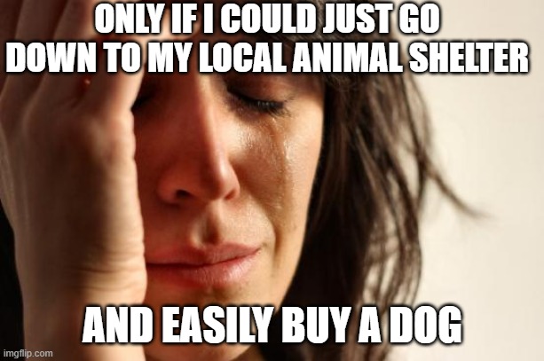 First World Problems Meme | ONLY IF I COULD JUST GO DOWN TO MY LOCAL ANIMAL SHELTER AND EASILY BUY A DOG | image tagged in memes,first world problems | made w/ Imgflip meme maker