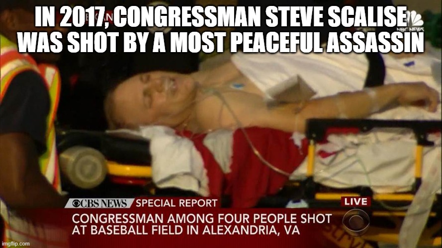 Scalise shot | IN 2017, CONGRESSMAN STEVE SCALISE WAS SHOT BY A MOST PEACEFUL ASSASSIN | image tagged in scalise shot | made w/ Imgflip meme maker