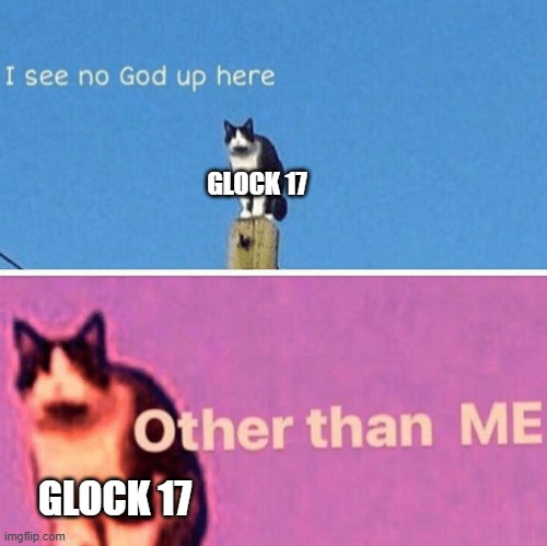 GLOCK 17 GLOCK 17 | image tagged in hail pole cat | made w/ Imgflip meme maker