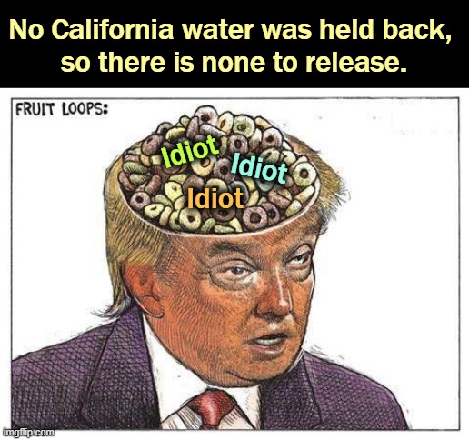 No California water was held back, 
so there is none to release. Idiot; Idiot; Idiot | image tagged in trump,california,california fires,water,global warming,climate change | made w/ Imgflip meme maker