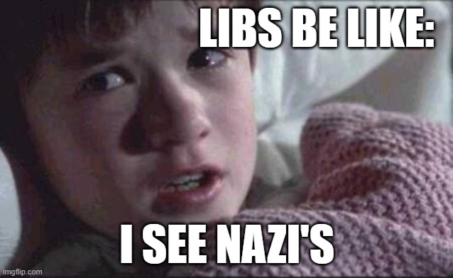 I See Dead People Meme | LIBS BE LIKE:; I SEE NAZI'S | image tagged in memes,i see dead people | made w/ Imgflip meme maker