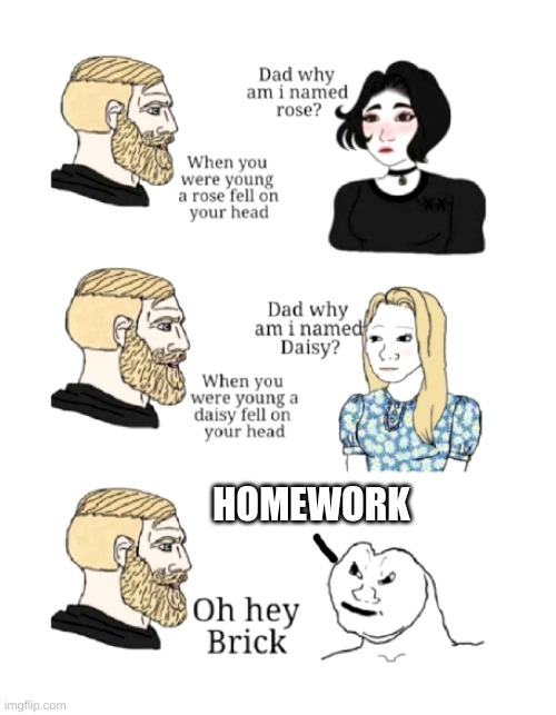 dad why am I named | HOMEWORK | image tagged in dad why am i named | made w/ Imgflip meme maker