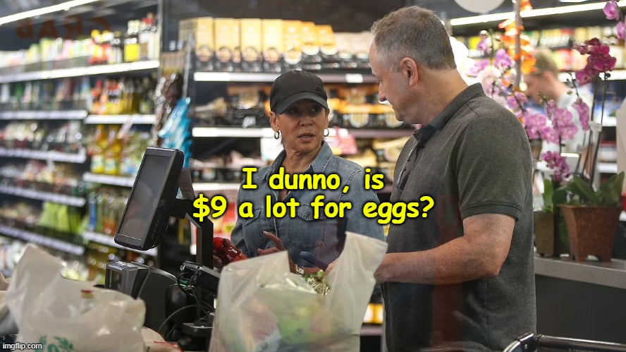 Like when Gates tried to guess the $ of a Banana | I dunno, is $9 a lot for eggs? | image tagged in out of touch harris eggs meme | made w/ Imgflip meme maker