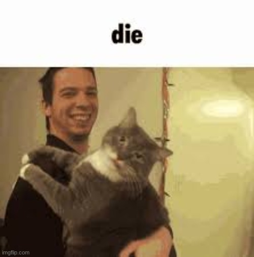 die | image tagged in die | made w/ Imgflip meme maker