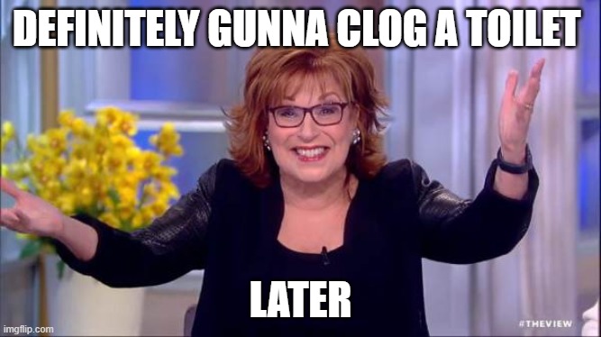 joy behar | DEFINITELY GUNNA CLOG A TOILET LATER | image tagged in joy behar | made w/ Imgflip meme maker