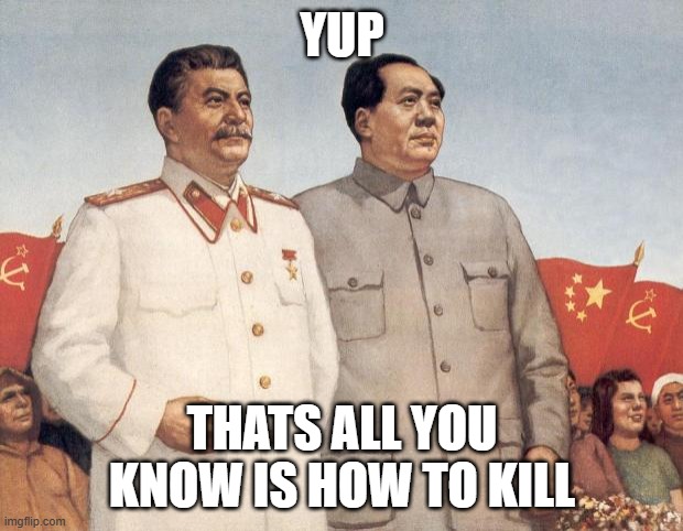 Stalin and Mao | YUP THATS ALL YOU KNOW IS HOW TO KILL | image tagged in stalin and mao | made w/ Imgflip meme maker