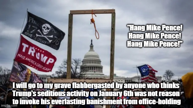 "Hang Mike Pence!" | "Hang Mike Pence! Hang Mike Pence! Hang Mike Pence!"; I will go to my grave flabbergasted by anyone who thinks 
Trump's seditious activity on January 6th was not reason 
to invoke his everlasting banishment from office-holding | image tagged in hang mike pence,trump willing to let pence be murdered,trump willing to let pence be killed,january 6th,insurrection | made w/ Imgflip meme maker