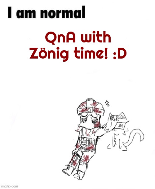 Zonig temp 1 ig | QnA with Zönig time! :D | image tagged in z nig temp 1 ig | made w/ Imgflip meme maker