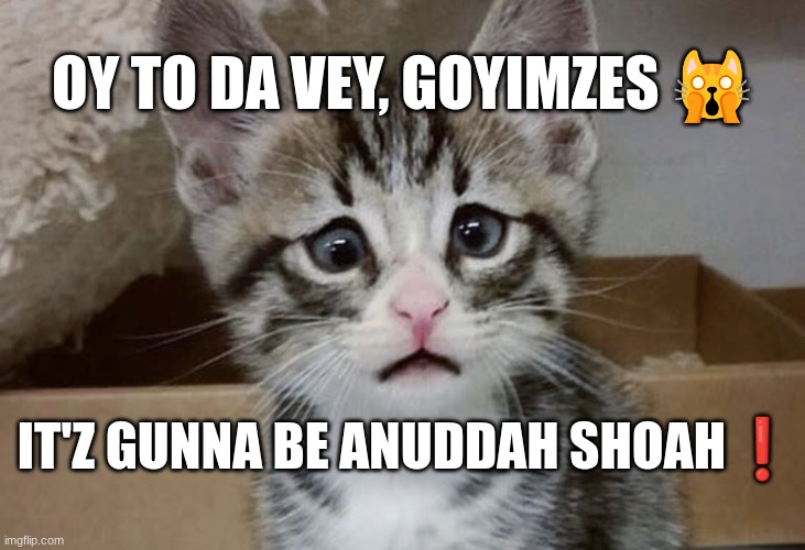 OY TO DA VEY, GOYIMZES 🙀; IT'Z GUNNA BE ANUDDAH SHOAH❗ | made w/ Imgflip meme maker