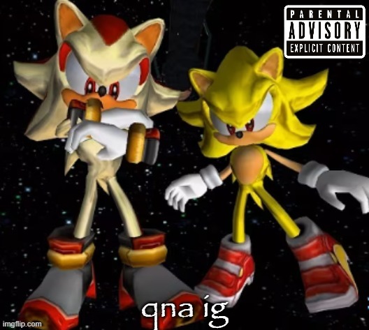 sonic n shadow | qna ig | image tagged in sonic n shadow | made w/ Imgflip meme maker