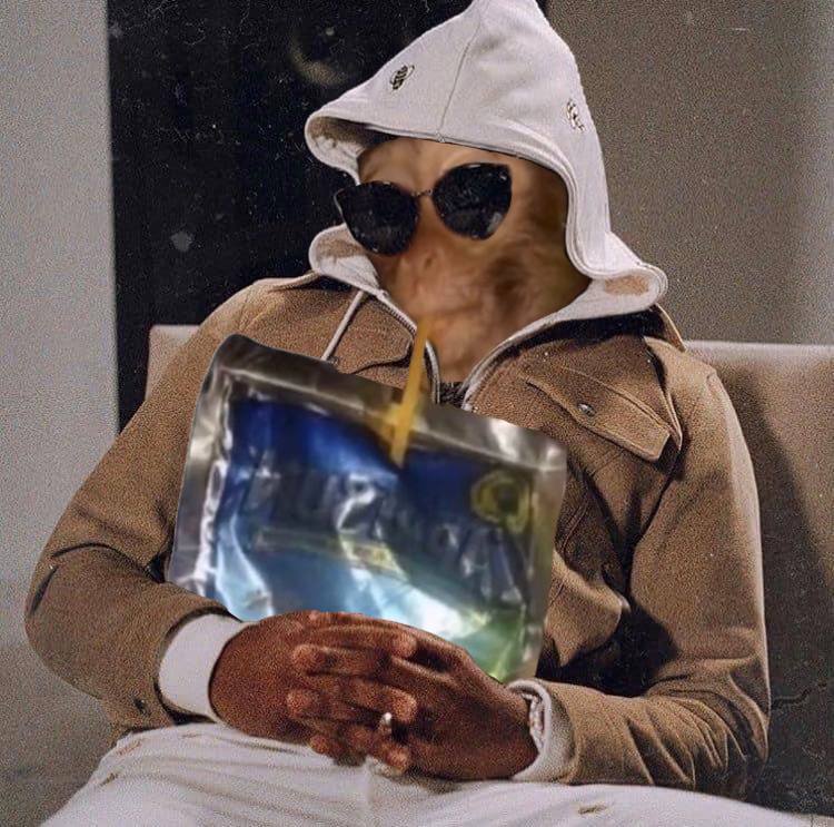 Caprisun monkey Blank Meme Template