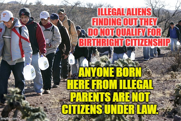 Illegal immigrants crossing border | ILLEGAL ALIENS FINDING OUT THEY DO NOT QUALIFY FOR BIRTHRIGHT CITIZENSHIP; ANYONE BORN HERE FROM ILLEGAL PARENTS ARE NOT CITIZENS UNDER LAW. | image tagged in illegal immigrants crossing border | made w/ Imgflip meme maker