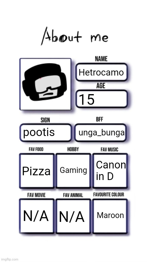 nice trend fr | Hetrocamo; 15; pootis; unga_bunga; Gaming; Pizza; Canon in D; Maroon; N/A; N/A | made w/ Imgflip meme maker