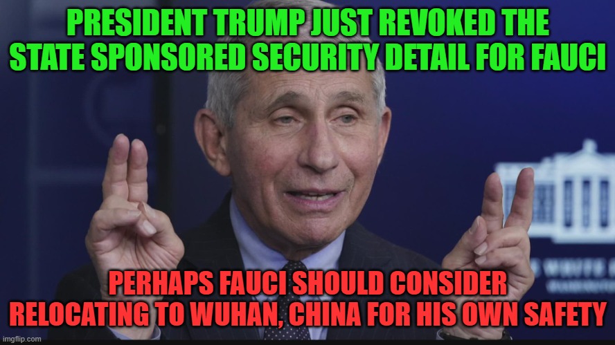 fauci | PRESIDENT TRUMP JUST REVOKED THE STATE SPONSORED SECURITY DETAIL FOR FAUCI; PERHAPS FAUCI SHOULD CONSIDER RELOCATING TO WUHAN, CHINA FOR HIS OWN SAFETY | image tagged in fauci | made w/ Imgflip meme maker